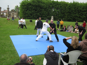 Tui Shou a Belgioioso - Taiji Festival 2010